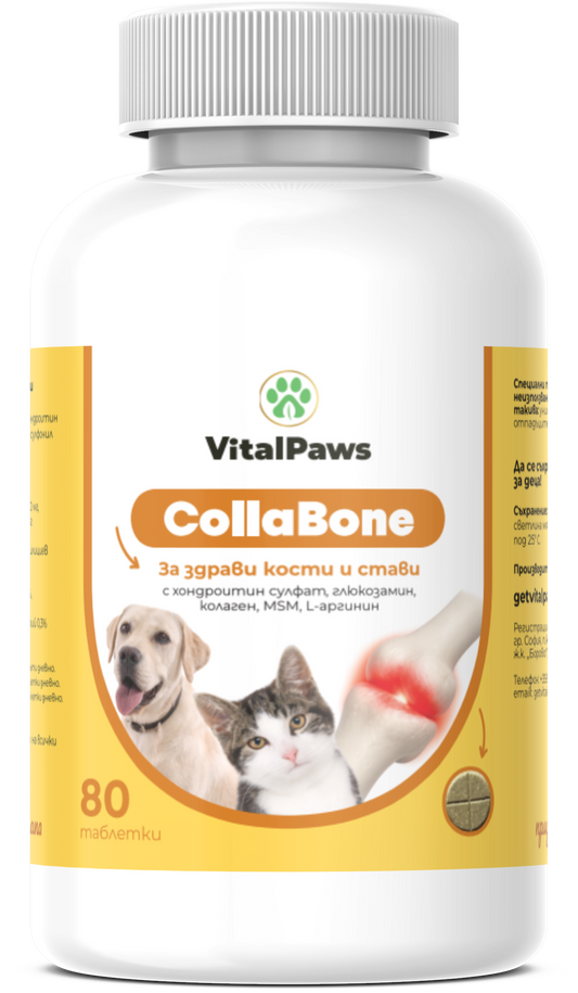 CollaBone – за здрави кости и подвижни стави