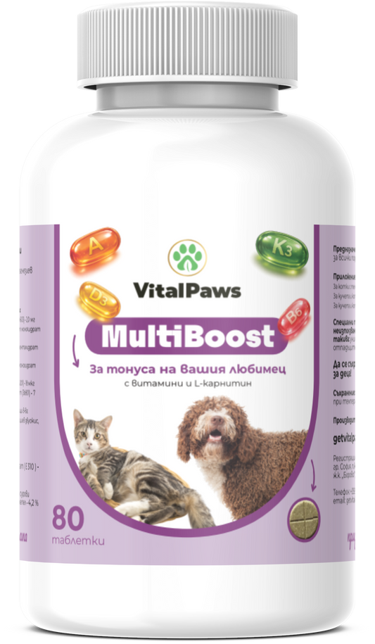 MultiBoost – за енергия и жизненост